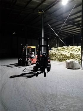 龍工化工專用叉車 龍工化工專用叉車