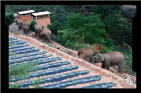 龍工電動(dòng)叉車(chē) 龍工電動(dòng)叉車(chē)