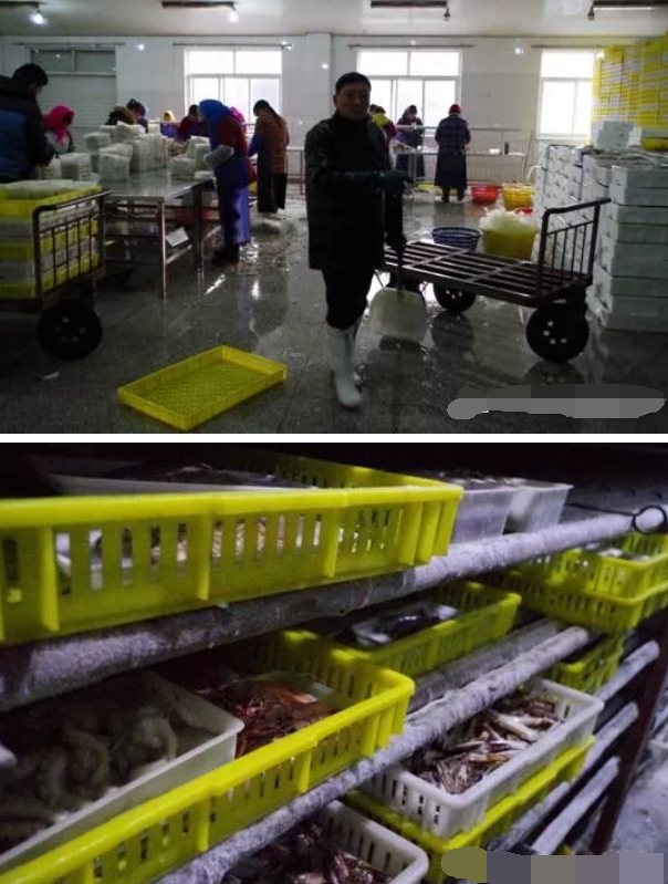 龍工冷庫(kù)叉車(chē)